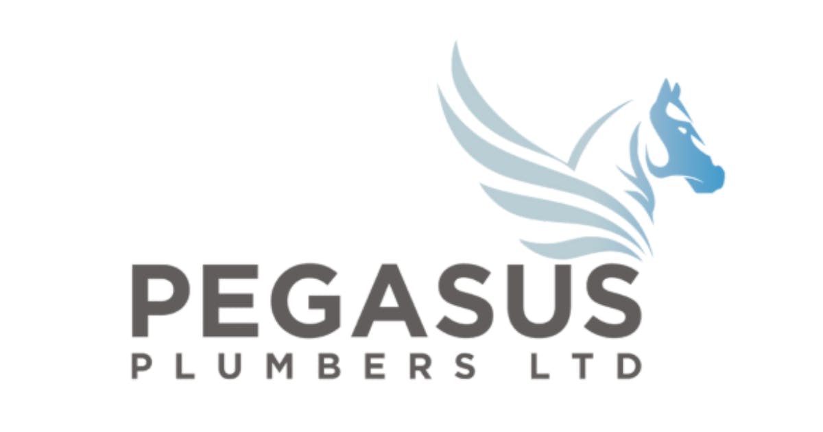 Pegasus Plumbing  Gas ltdUK