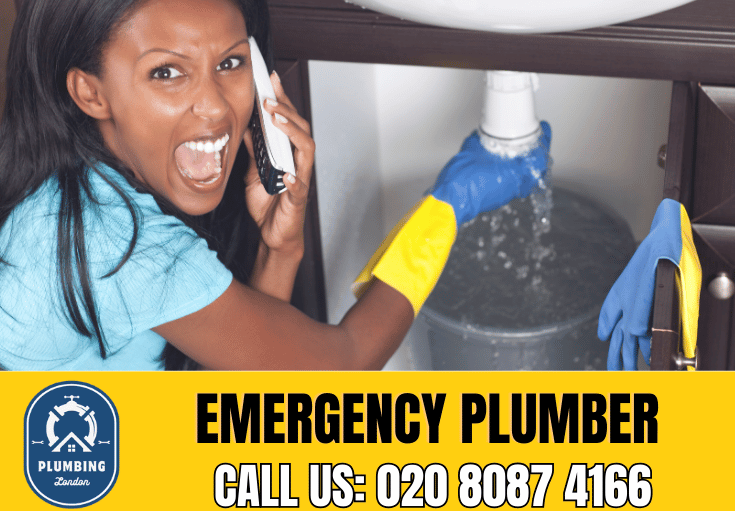 Wimbledon Plumbing ServicesUK